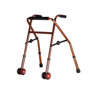 Walking Aid for Child 2 wheels, Protector